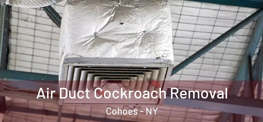 Air Duct Cockroach Removal Cohoes - NY