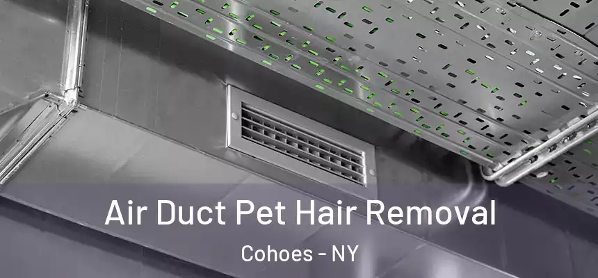 Air Duct Pet Hair Removal Cohoes - NY
