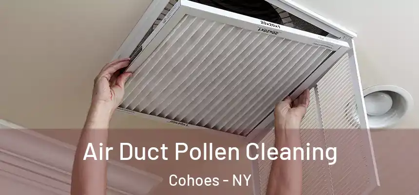 Air Duct Pollen Cleaning Cohoes - NY