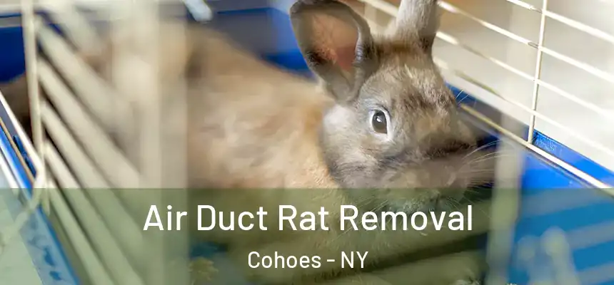 Air Duct Rat Removal Cohoes - NY