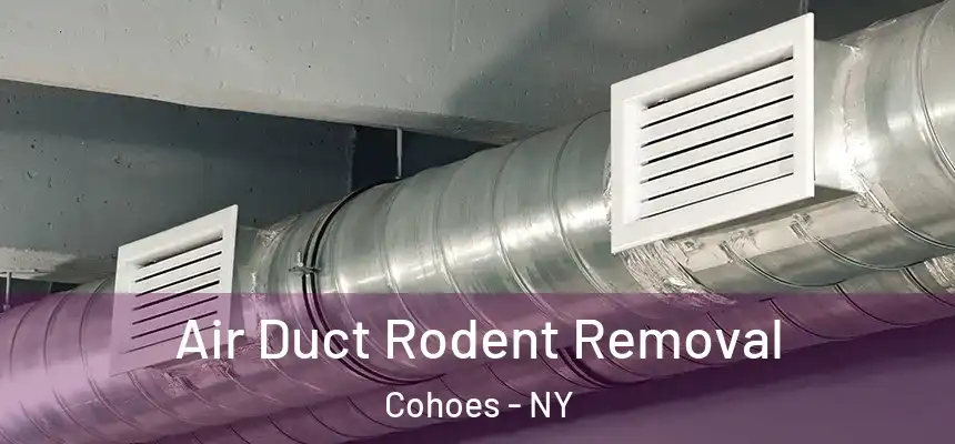 Air Duct Rodent Removal Cohoes - NY