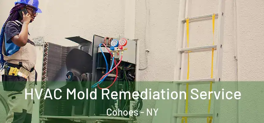 HVAC Mold Remediation Service Cohoes - NY