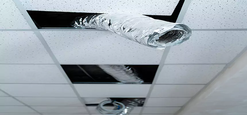 Our Air Duct Pet Hair Removal Services in Cohoes, NY