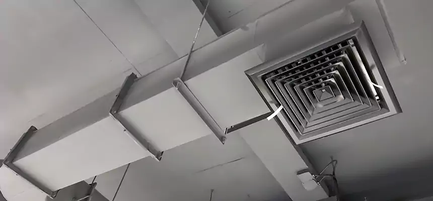 Our Pest Removal From Ducts Services in Cohoes, NY