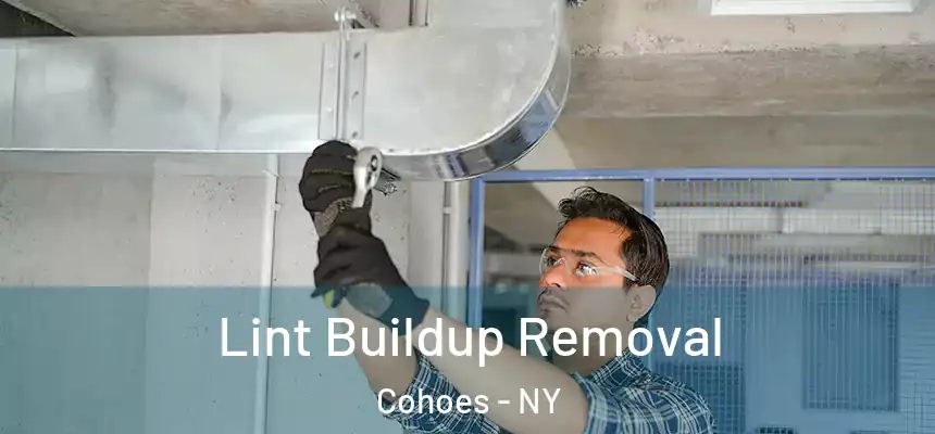 Lint Buildup Removal Cohoes - NY