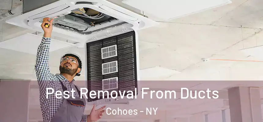  Pest Removal From Ducts Cohoes - NY