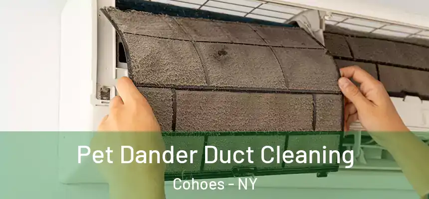 Pet Dander Duct Cleaning Cohoes - NY