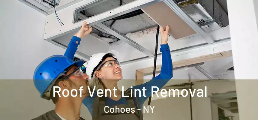 Roof Vent Lint Removal Cohoes - NY