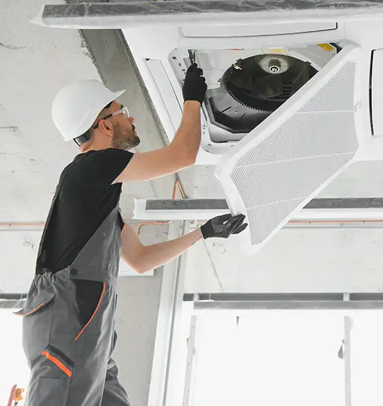 About Air Duct Rodent Removal in Cohoes, NY