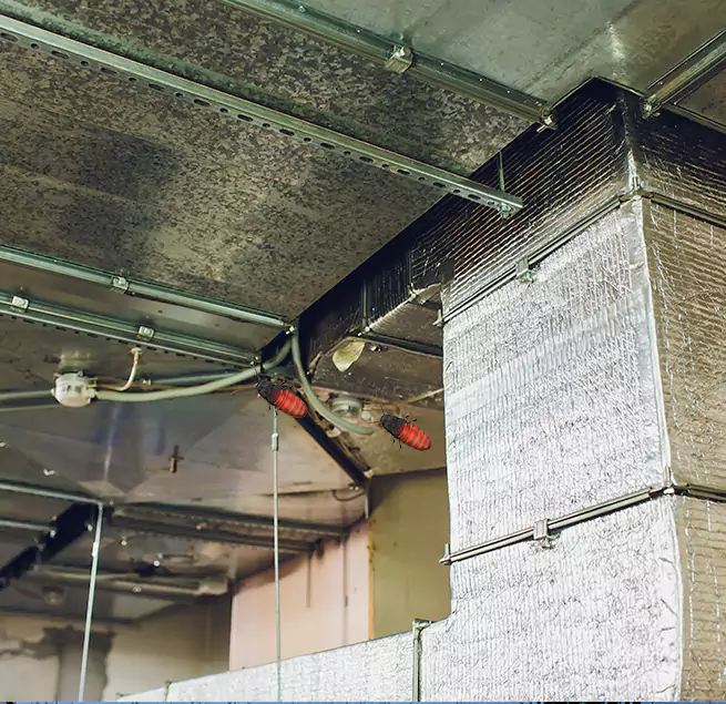 Why Homeowners & Businesses Trust Us in Cohoes, NY?