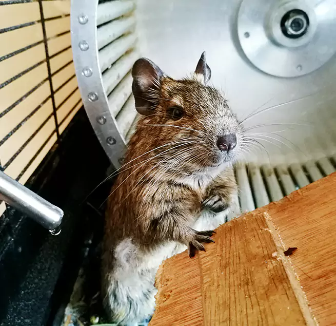 Why Homeowners & Businesses Trust Us Cohoes, NY