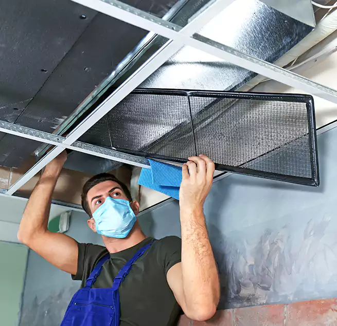 Why Homeowners Businesses Trust Us in Cohoes, NY