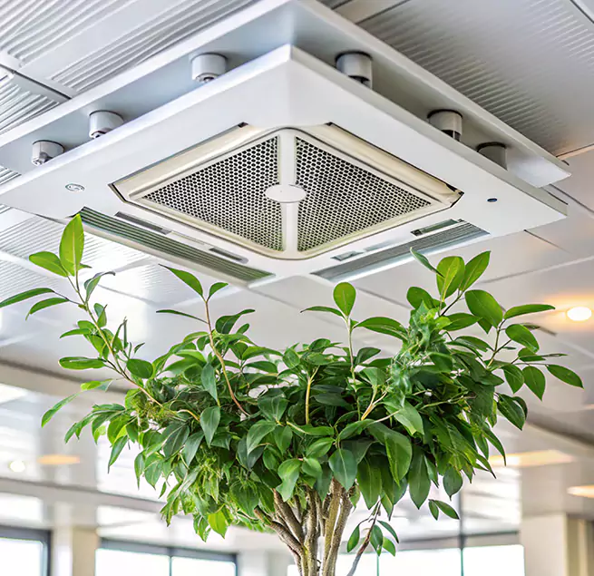 Why Homeowners & Businesses Trust Us in Cohoes, NY?